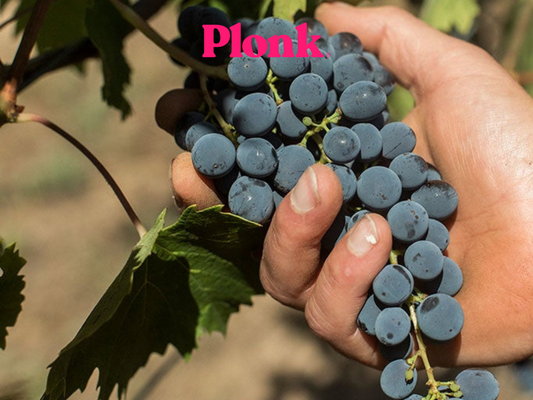 Why small-batch wine is better for everyone