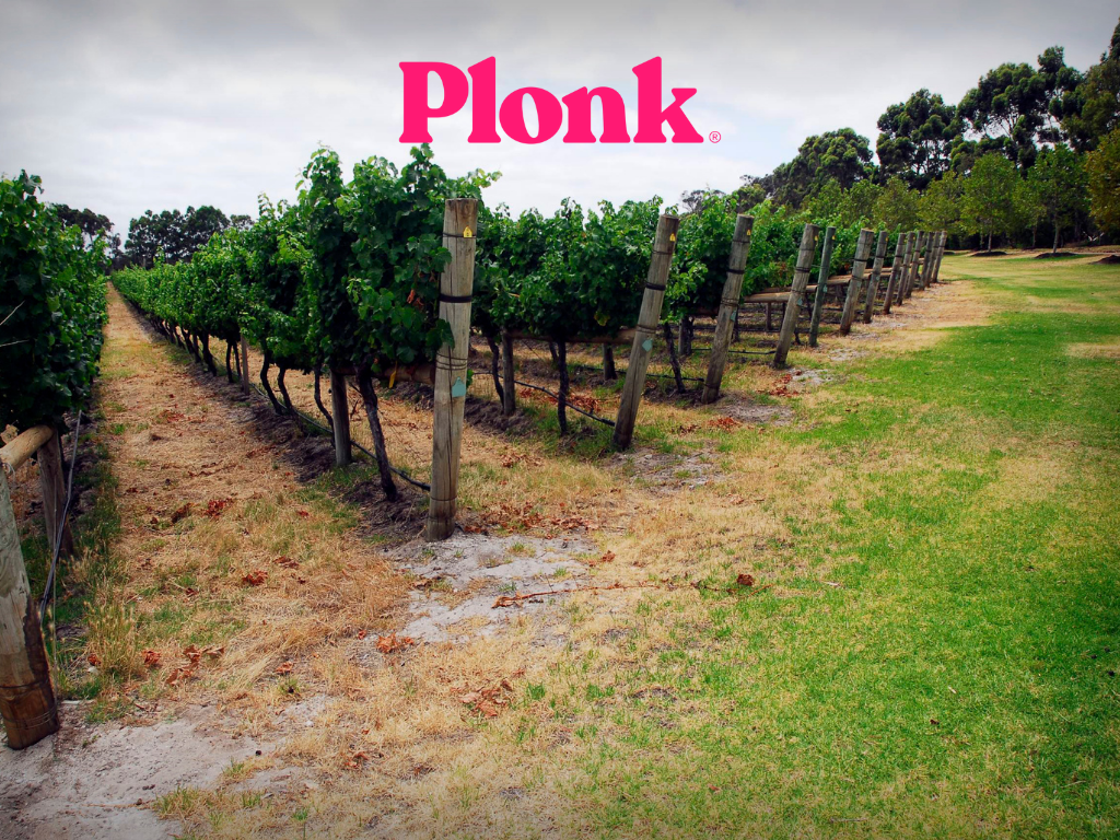 plonk wine
