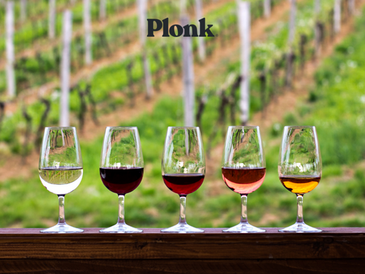Learn How to Taste and Understand Wine: For Beginners
