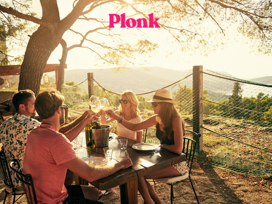 Sultry suggestions: top wines to pair with your holiday meal