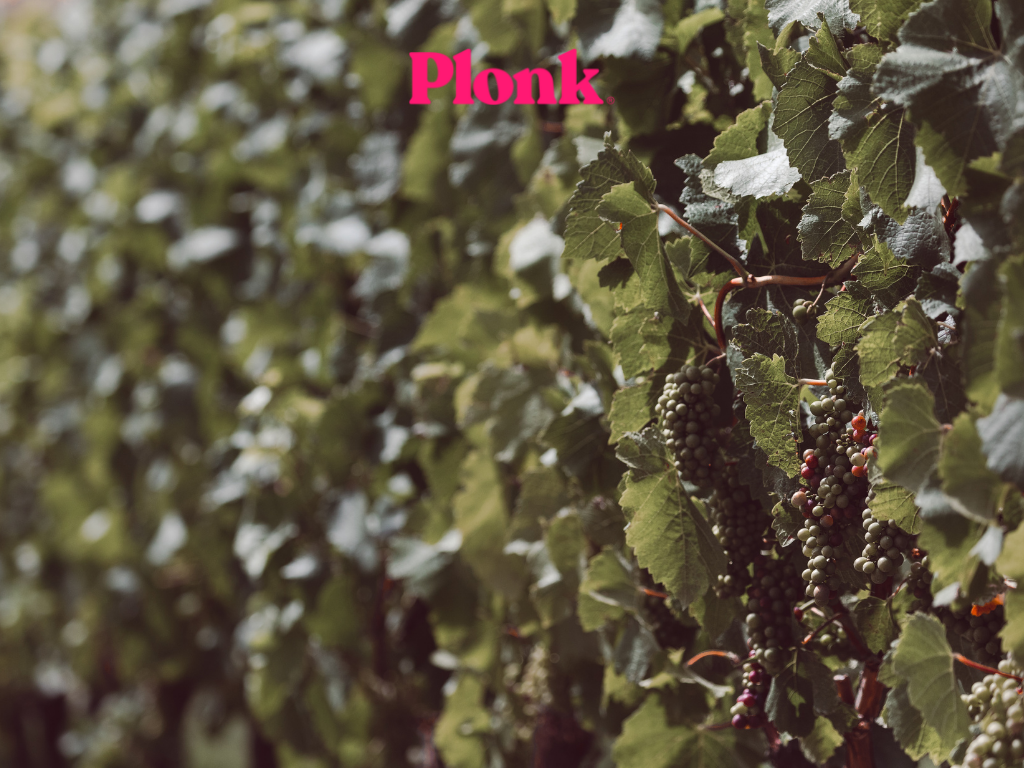 Climate change – Wines impact and what can be done to help