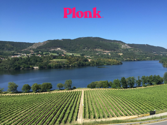 The Sustainable Sip: discovering eco-friendly wines