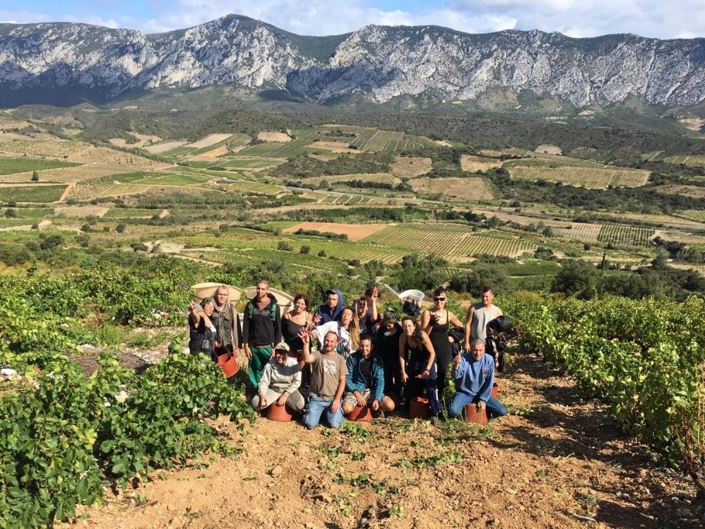 Get To Know The Maury Wine Commune