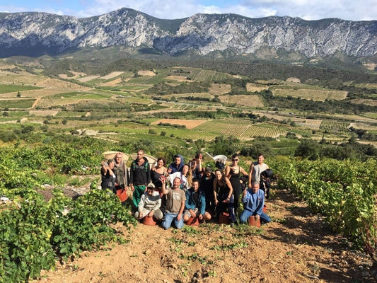 Get To Know The Maury Wine Commune