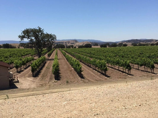 the lesser known sub-regions of the wine powerhouses