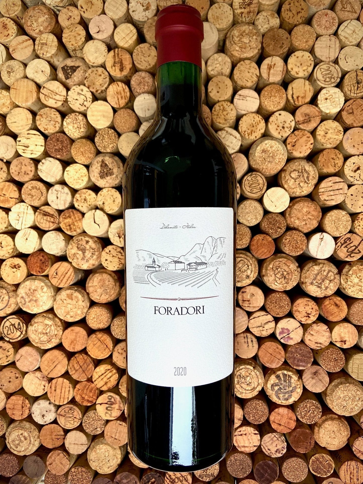 Agricola Foradori, Teroldego - 2020 - Good Wine Good People