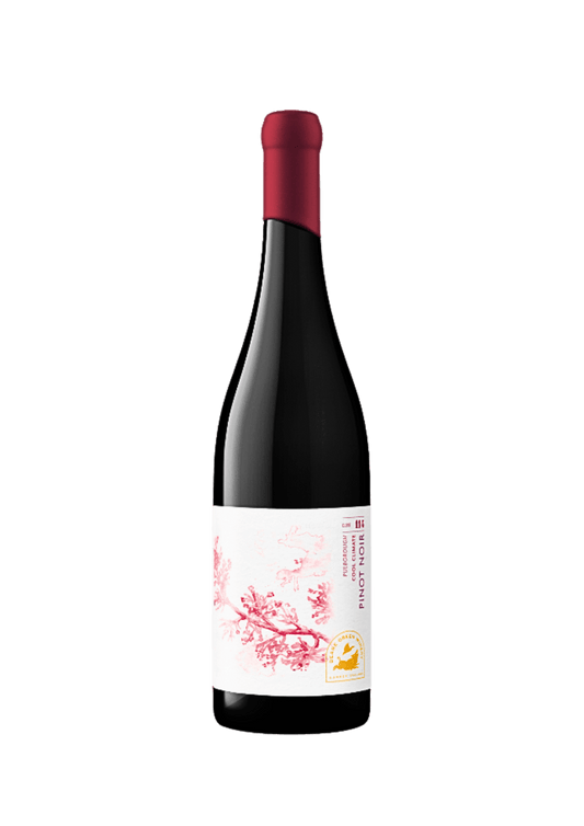 Beare Green Winery, Pinot Noir Clone 114 - 2023 - Good Wine Good People